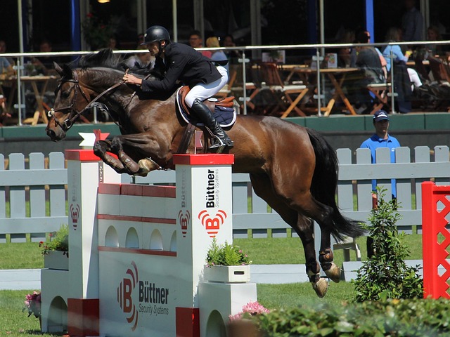 马兹拉维的 马兹拉维的