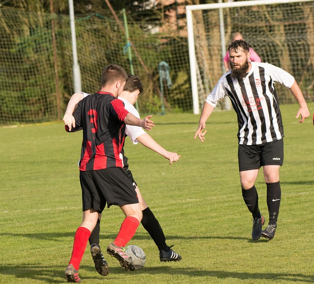 詹金斯再就 詹金斯再就