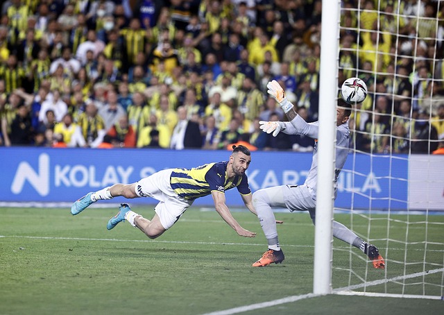 还展现了球 还展现了球