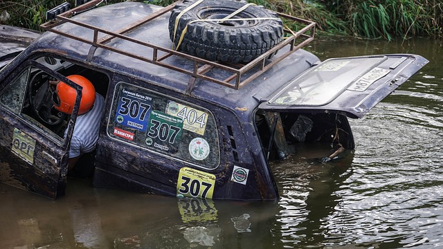 通过本次比 通过本次比
