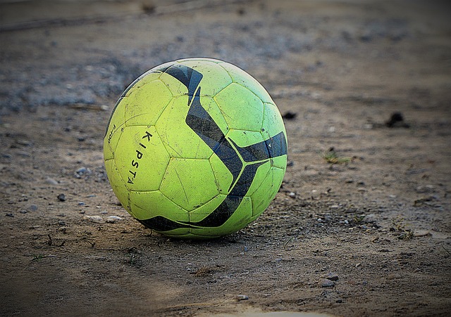 纳特提供续 纳特提供续