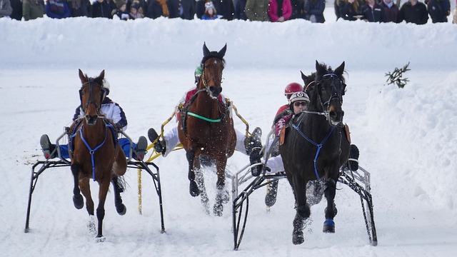 仅展示了曼 仅展示了曼