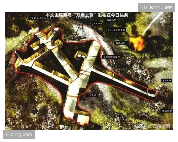 拉菲尼亚的进攻效率与战术价值：数据背后的含金量解析